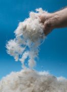 white-goose-original-feather-11